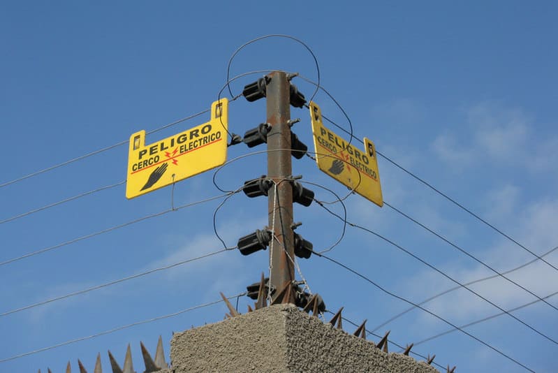 Cercos eléctricos y mascotas